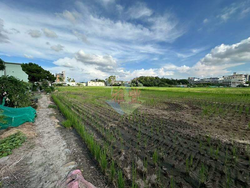 高鐵門戶特區持分農地