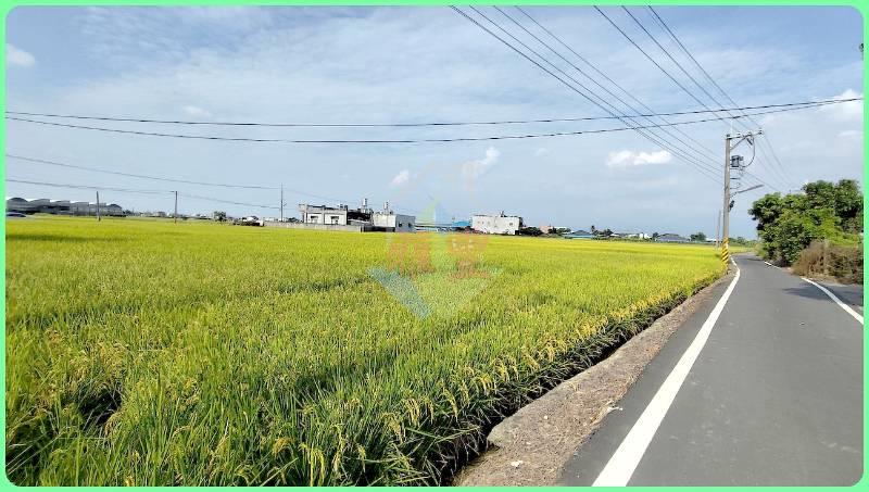 獨家雲林大埤3面路有水電農地