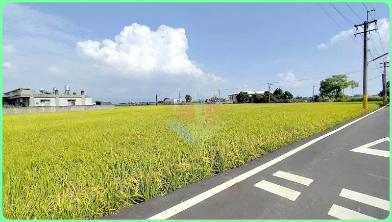 獨家雲林大埤3面路有水電農地