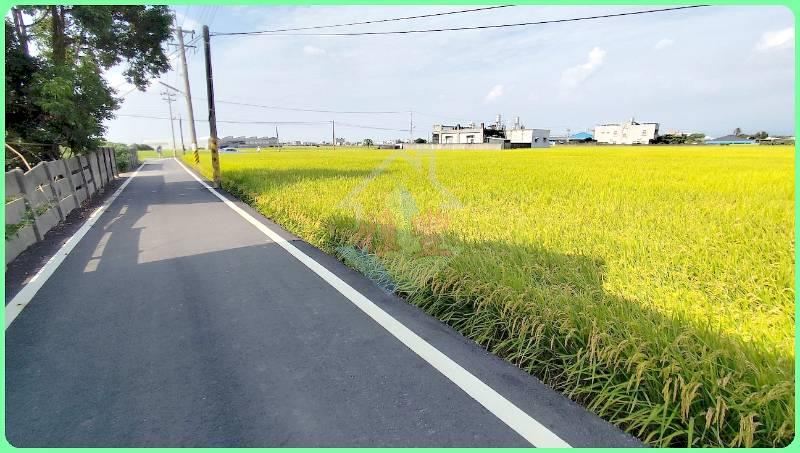 獨家雲林大埤3面路有水電農地