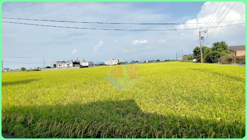 獨家雲林大埤3面路有水電農地