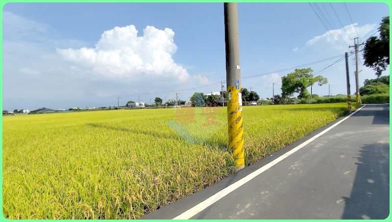 獨家雲林大埤3面路有水電農地