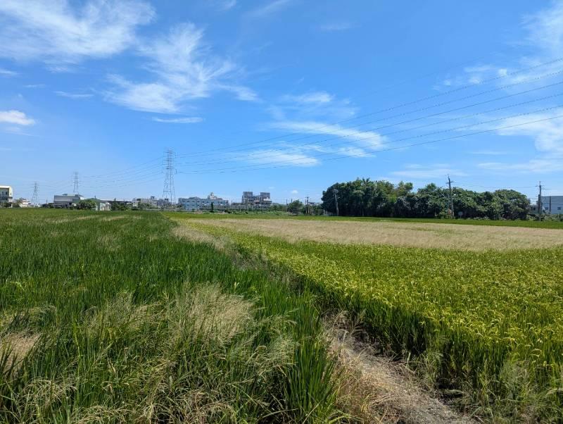 彰化都計內區段徵收農地
