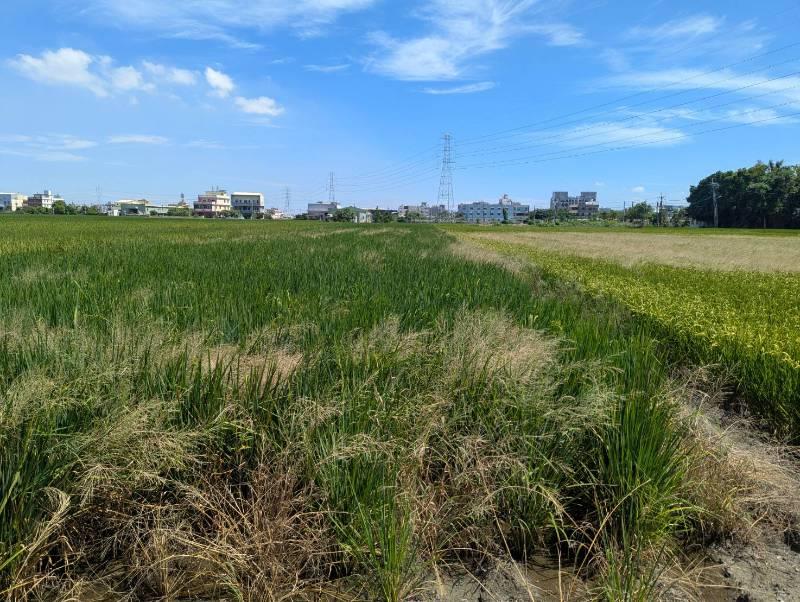 彰化都計內區段徵收農地