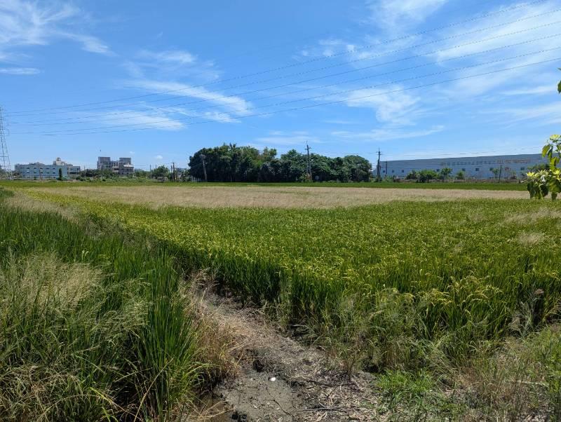 彰化都計內區段徵收農地