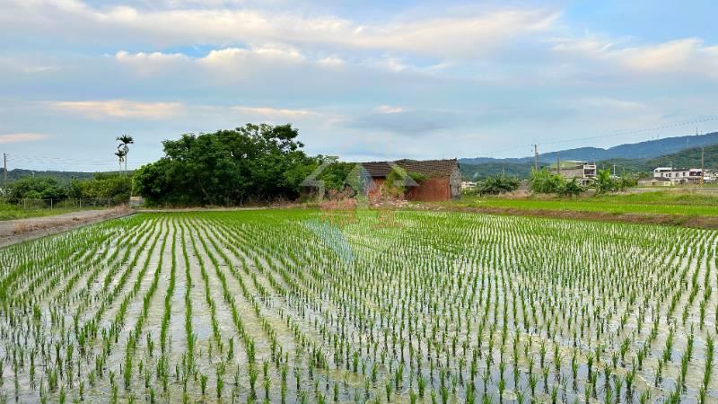稀有甲建247+農地