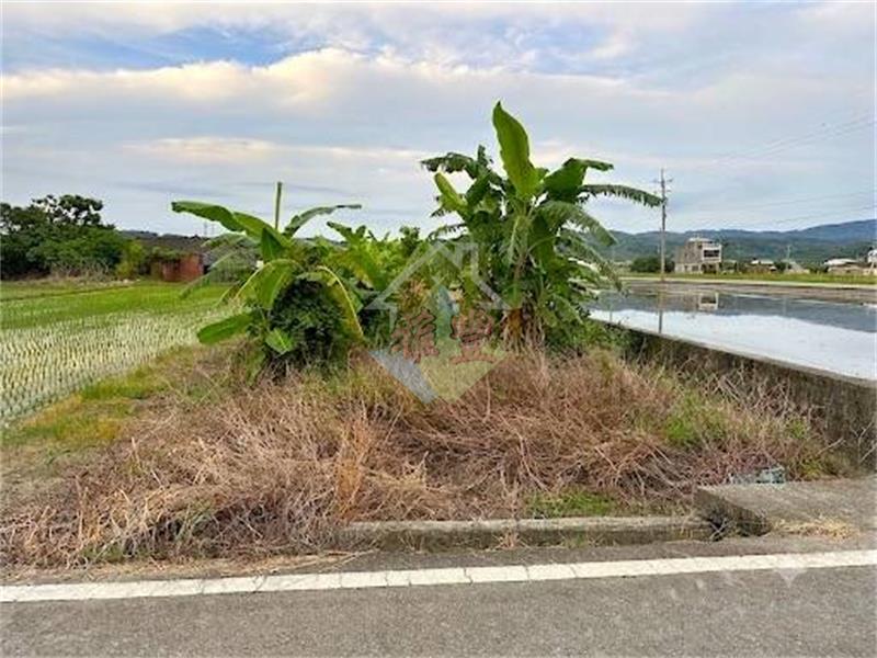 稀有甲建247+農地