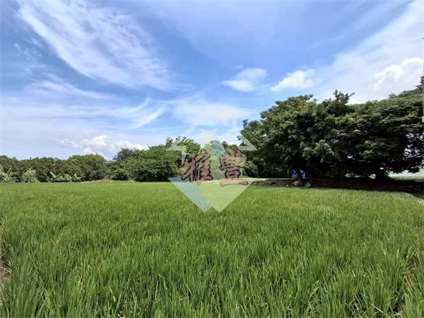 后科合法農舍
