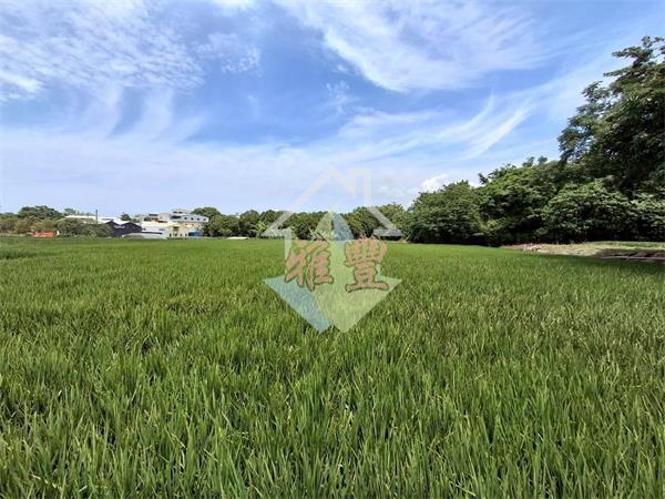 后科合法農舍