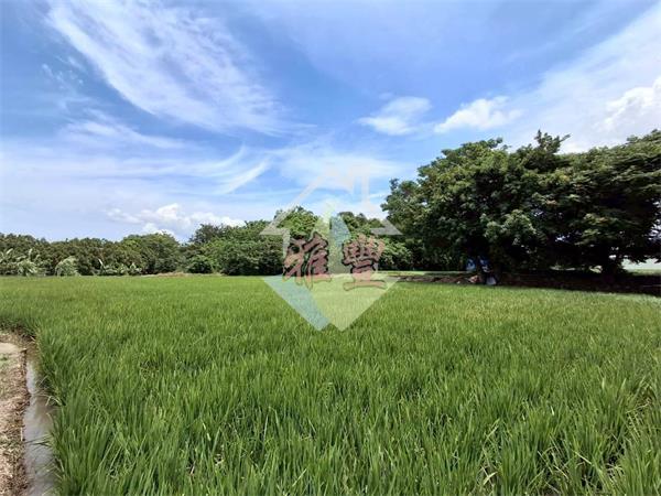 后科合法農舍