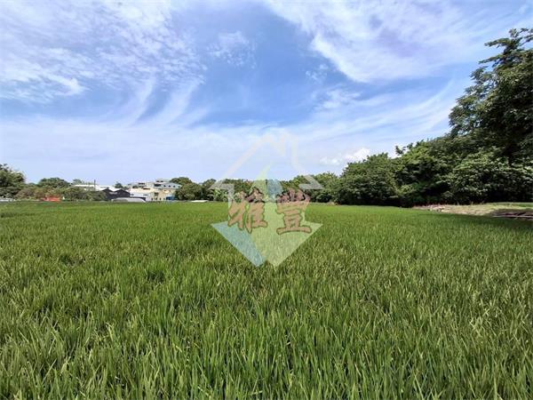 后科合法農舍