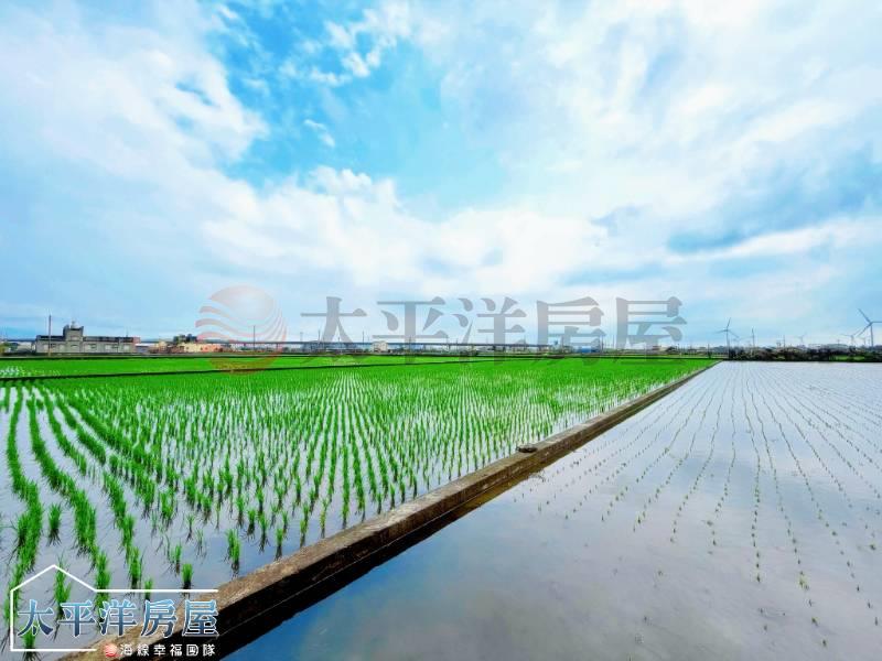 大甲●臨路超俗農地房屋室內格局與周邊環境