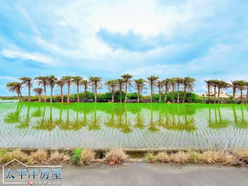 大甲●臨路超俗農地房屋室內格局與周邊環境