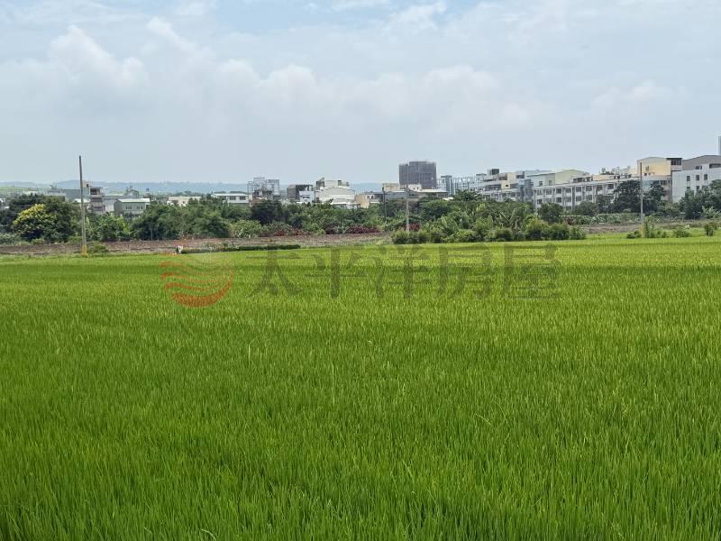 鹿寮建地可蓋兩戶房屋室內格局與周邊環境