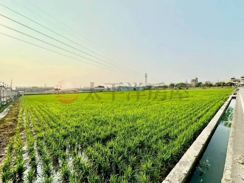 大肚臨路農地-1478房屋室內格局與周邊環境