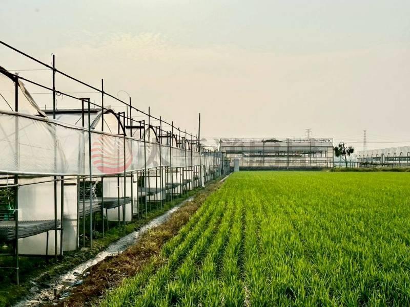 大肚臨路農地-1478房屋室內格局與周邊環境