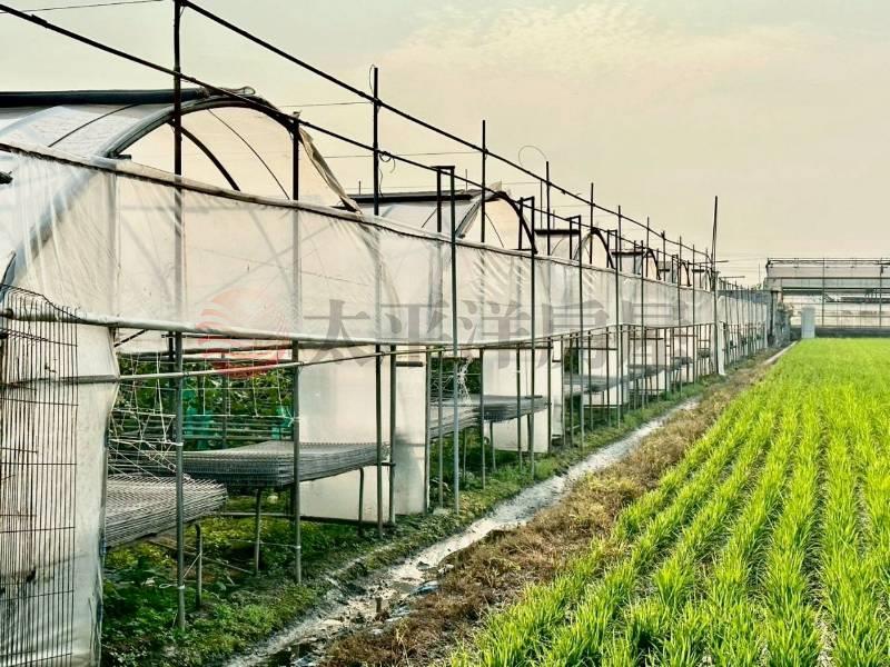 大肚臨路農地-1478房屋室內格局與周邊環境