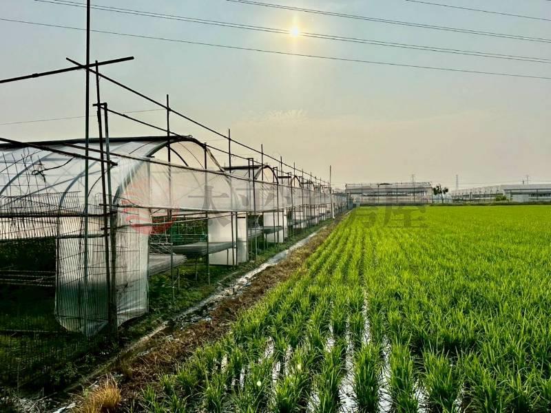 大肚臨路農地-1478房屋室內格局與周邊環境