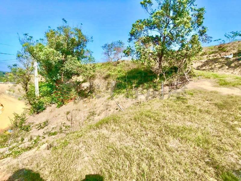 景觀休閒農地Ⅲ房屋室內格局與周邊環境