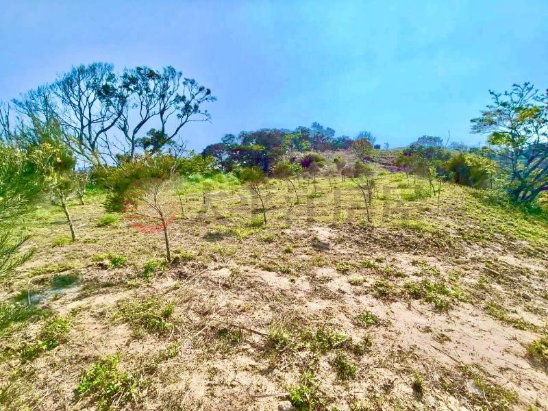 景觀休閒農地Ⅲ房屋室內格局與周邊環境