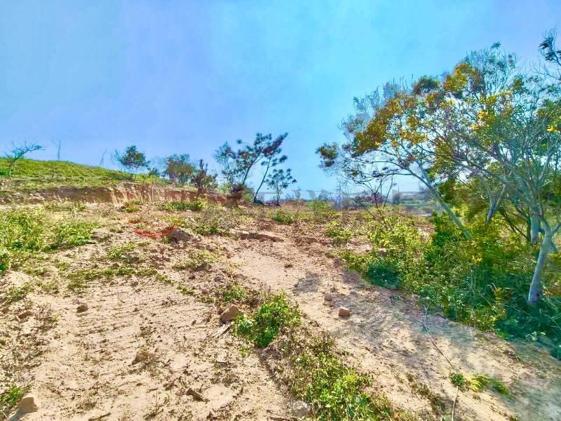 景觀休閒小農庄Ⅱ房屋室內格局與周邊環境