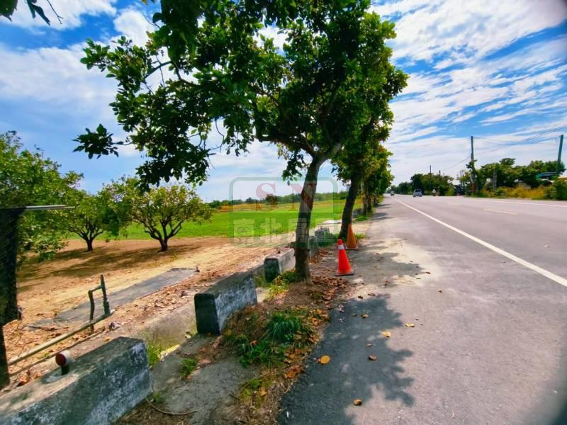 *佳里12米路旁方正農地