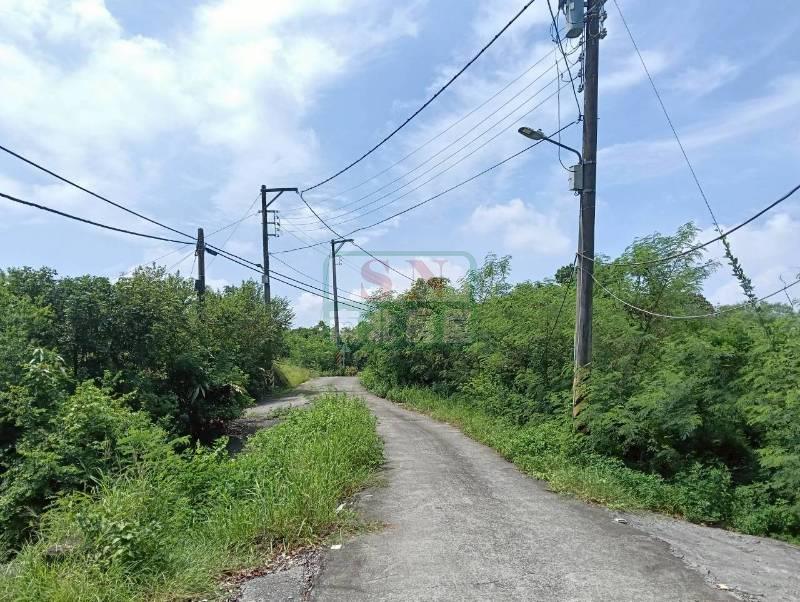 新化九層嶺休閒農地+丙建