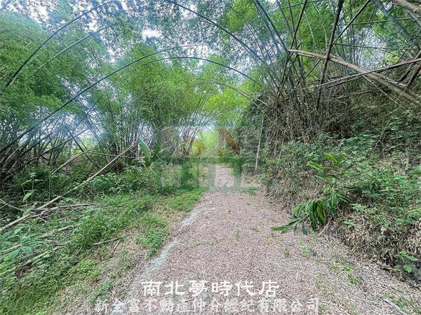 左鎮內庄子超值一般農地