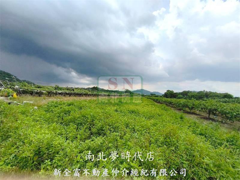 玉井近８４豐里２分半農地