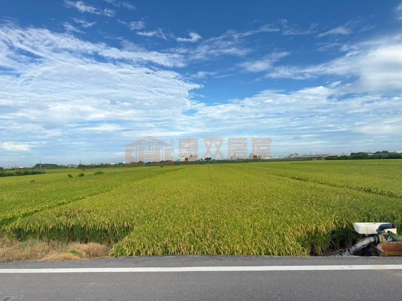 二林趙甲段田地