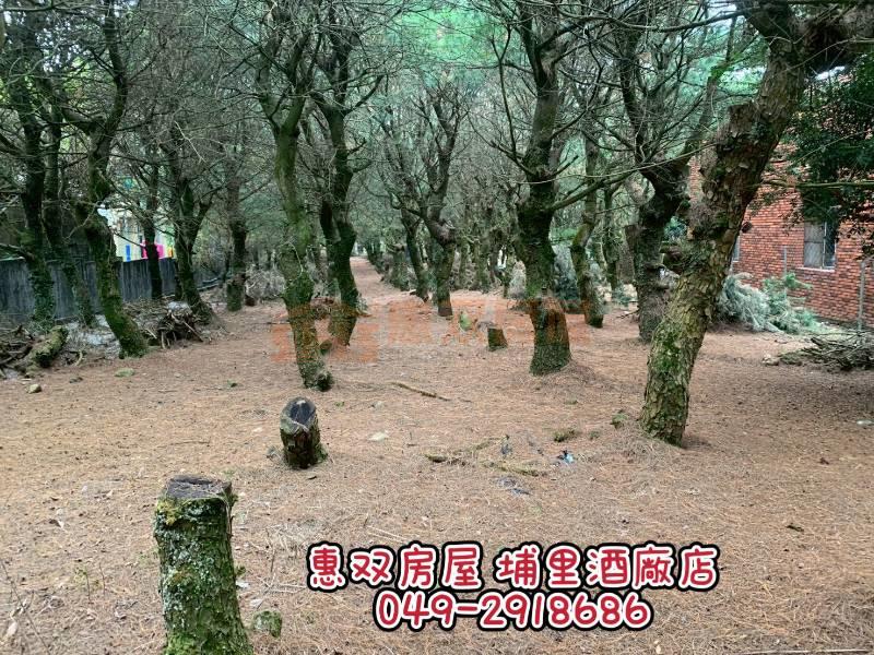 福興旁田加建【埔里酒廠店】