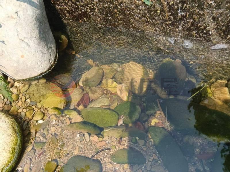 近明湖國小農地B房屋室內格局與周邊環境