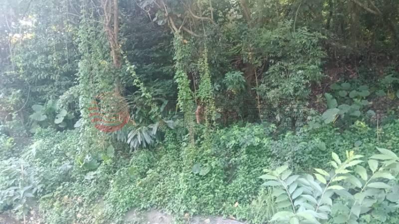 近明湖國小農地B房屋室內格局與周邊環境