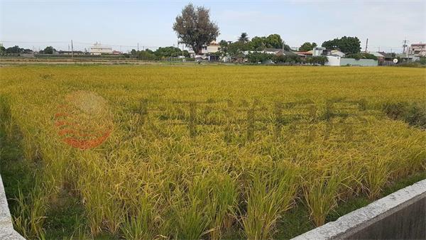大村加錫美田房屋室內格局與周邊環境