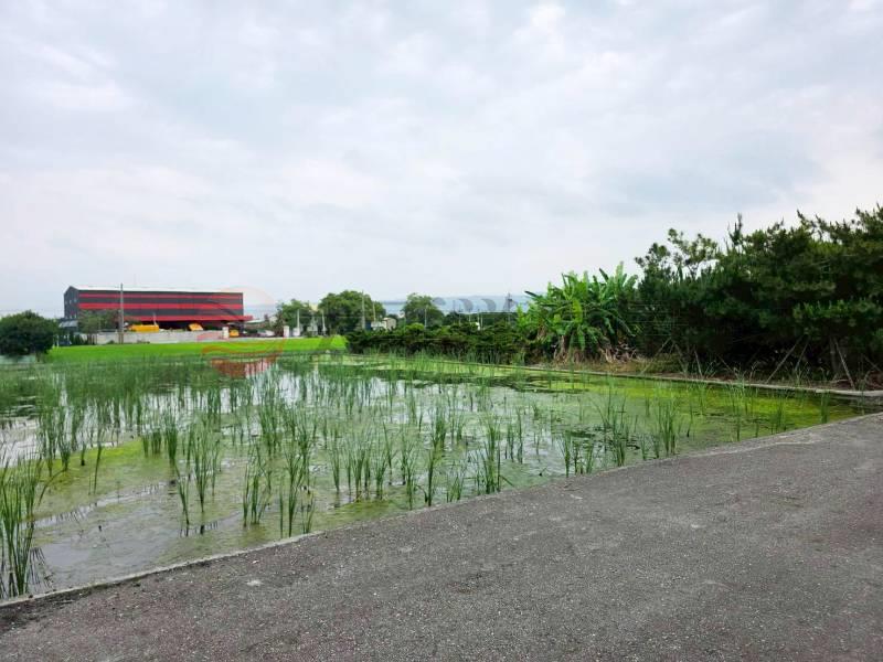 田中近高鐵蓋四戶建地房屋室內格局與周邊環境